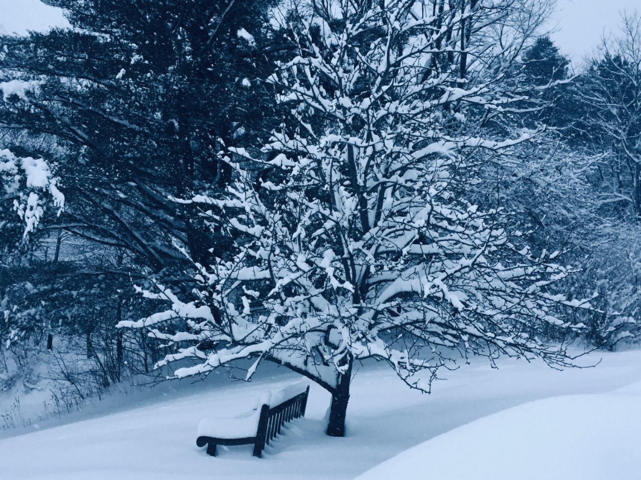 The Nutmeg Vermont